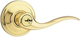 Signature Series Tustin Entry Lever-PB TUSTIN SK ENTRY LEVER (並行輸入品)