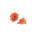 florever　フロールエバー　フレッシュルックベイビーローズ　サンセットオレンジ　12輪　Φ2.5～3.5cm　 プリザーブドフラワー　Baby Rose　Sunset Orange
