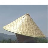 竹笠 大 ごとく付