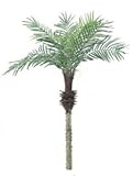 ヤシの木「フェニックスパームツリー」人工観葉植物 全長150cm・ポット/バーク付き