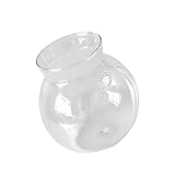 monkeyjack透明吊りガラス水耕栽培花プランター花瓶Landscapホルダーボールwith Noトレースネイル