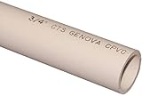 ジェノバ製品500072 3 / 4 x 2 CPVC水パイプ 500072