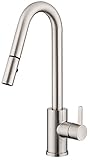 Danze D457130SS Amalfi Trim Line Pull-Down Kitchen Faucet, Stainless Steel, Stainless Steel [並行輸入品]