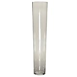 Essential D?cor Entrada Collection Glass Vase, 23.6-Inch, Clear [並行輸入品]