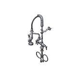 T&S Brass MPZ-2DLN-06 Single Hole/Dual Temperature B-0107 6-Inch Swing Nozzle Lever Handles Wall Bra