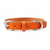 Beanspet 犬用首輪 本革 日本製 おしゃれ レザーカラー 軽量タイプ 小型犬 中型犬 大型犬対応 高耐久 カラフルカラー 多サイズ展開 XS～L 猫用にもOK (オレンジ, XXS)