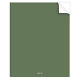 Kilz Tribute内部Eggshellペイント、1、1ガロン、クールでプライマーフォグ( tb-61 ) 8x10-Inch Peel & Stick Color Swatch PNS-TB-8