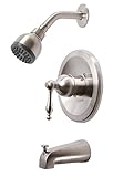 Premier Faucet 119274 Premier Wellington Single-Handle Tub & Shower Faucet, PVD Brushed Nickel [並行輸入