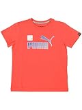 (プーマ) PUMA SS TEE 150 バスバドス チェリー