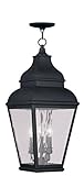 Livex Lighting 2610-04 Exeter 3-Light Outdoor Chain Hang, Vintage Pewter [並行輸入品]