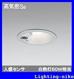 オーデリック　エクステリアライト 【OD 261 854】【OD261854】