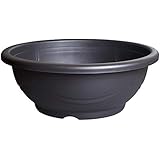 スドー S-5576ﾒﾀﾞｶ鉢 黒茶18号