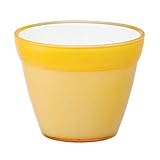 日用品雑貨 生活用品 インテリア 雑貨 ガーデニング イタリア製樹脂ポット COCCO(コッコ) 17cm (穴無し) イエロー 2個入り