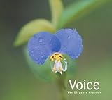 �G���K���X�E�N���V�b�N ���H�C�XBEST