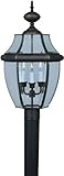 Forte Lighting 1604-03-14 Traditional 3-Light Exterior Post Lantern with Clear Beveled Glass, Royal 
