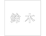 表札用名前シール 明朝体　切文字 ﾎﾜｲﾄ 表札サイズ100ミリ角(100×100ﾐﾘﾀｲﾌﾟ板用) 鈴木