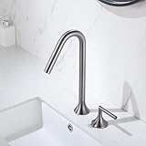 BiaoTeng 洗面台 蛇口 2穴ホール 洗面台 蛇口 2口 ホット＆コールド真鍮シングルハンドル 洗面所蛇口混合水栓 2穴 水道 蛇口 2穴 浴室 蛇口 混合栓 水道 蛇口 2穴 シンクの蛇口 蛇口 2つ穴 グレー