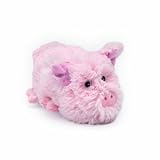 Intelex Dusty Pups LCD Screen Cleaner Pig by Intelex