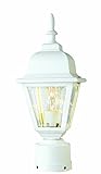 Transglobe Lighting 4414 WH Post Head with Beveled Glass Shade, White Finished [並行輸入品]
