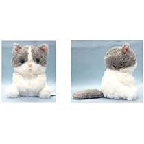 ねこちゃ出品 顔デカ猫 半袖Tシャツ 6色4サイズ | MIROKU SP-T
