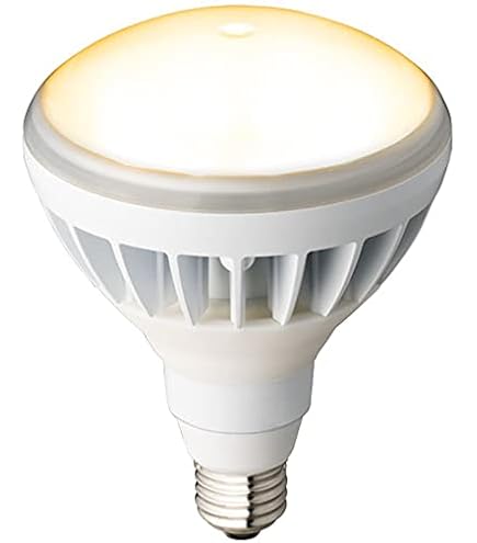 Amazon.co.jp: Iwasaki Eye Lamp for Photo Lighting PRF500WD Flood