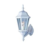 Transglobe Lighting 4250 WH Outdoor Wall Light with Beveled Glass Shade, White Finished [並行輸入品]