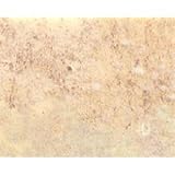 サンゲツ 店舗用クッションフロア アンティークタイル 柄番CM-2234 サイズ 182cm巾×6m 〔日本製〕