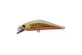 スミス(SMITH LTD) ミノー D-コンタクト 63mm 7g Gホワイト #27