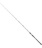 Amazon | ダイワ(DAIWA) ソルティガAP C86-8 ブラック | ダイワ(DAIWA