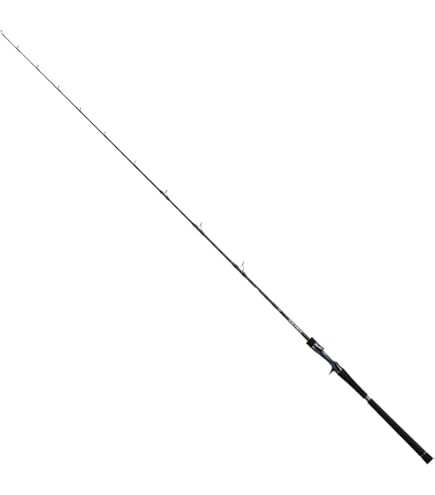 Amazon | ダイワ(DAIWA) ソルティガ C 71－2 | ダイワ(DAIWA