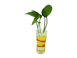 花市場直送便 ポトス(カラーサンド植え) プチベースD 黄色/オレンジ