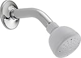 Peerless 616WH160BG Universal Showering Components Full Spray Shower Head, White [並行輸入品]