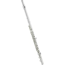 31GXoc6KtfL._AC_UL210_SR210,