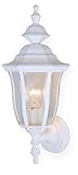 Vaxcel OW24381TW Birchard Outdoor Wall Light, 8", Textured White Finish [並行輸入品]