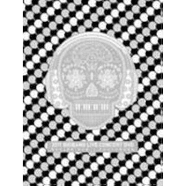 Amazon.co.jp: BIGBANG PRESENTS “LOVE&HOPE TOUR 2011