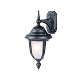 Alico Lighting 3522BK/FR Acclaim Lighting Matte Black Finished Outdoor Sconce with Frosted Seeded Gl