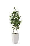 光触媒観葉植物 ア－バンシ－グレ－プ1.8 フロアタイプ ハイサイズ