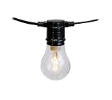 Meilo SLA19DIP0701 PS60 Dip LED Light Bulb String Lights (10 Count), 30' [並行輸入品]