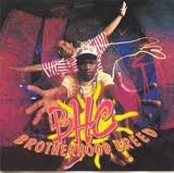 Shells By the Seashore