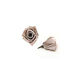 florever　フロールエバー　フレッシュルックベイビーローズ　ヘーゼルナッツ　12輪　Φ2.5～3.5cm　 プリザーブドフラワー　Baby Rose　Hazelnut
