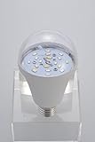 いちご用LED電球　6W　遠赤外線　白色LED等　E26口金  IPX5相当防水仕様　AC100V 50Hz/60Hz いちご　イチゴ　苺　用