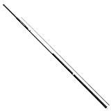 ダイワ(DAIWA) 万能振出竿 波路 超硬60 釣り竿