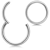 [From da Phactory] フロム ダ ファクトリー サージカルステンレスシリーズ ワンタッチセグメントリング クリッカー 2個セット 軟骨ピアス (16G, 内径6mm,カラー ステンレス シルバー)