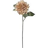 クリスマス/オペレッタダリア/ゴールド【代引き不可】【ＦＸ1495-18】