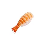 本物そっくり　お寿司のマグネット　海老（えび）（手作り食品サンプル日本製）日本のおみやげコンテスト金賞
