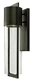 Hinkley Lighting 1324KZ-LED Shelter Outdoor 1-Light Lantern, Buckeye Bronze [並行輸入品]