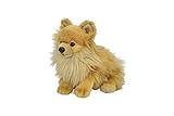 Nicotoy Floppy Pomeranian with Beans Soft Toy 26?cm by Nicotoy