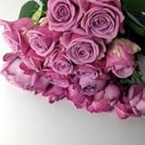 むらさき系のバラの花束　30本　グリーン付き【お祝い・記念日・誕生日・フラワーギフト・バラ】