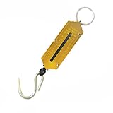 50kg Silverline Spring Balance