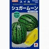 スイカ 種 【 シュガームーン 】 種子 小袋（約11粒）